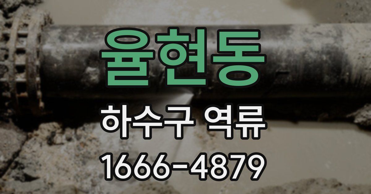 율현동 하수구 역류