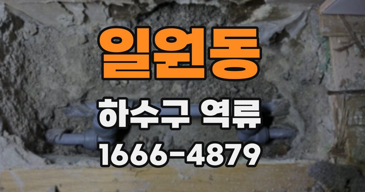 일원동 하수구 역류