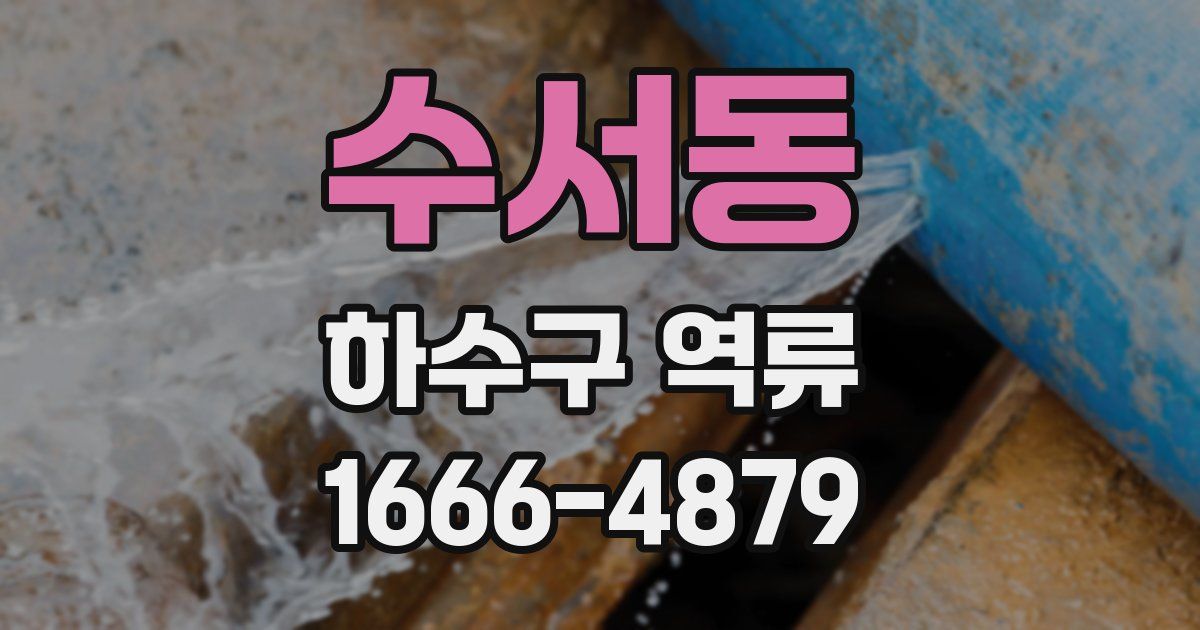 수서동 하수구 역류