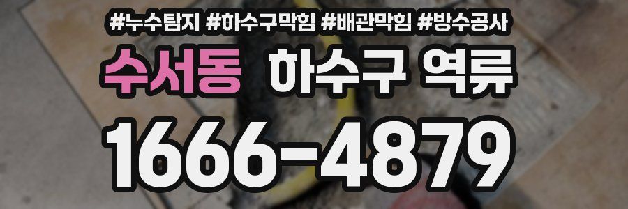 수서동 하수구 역류