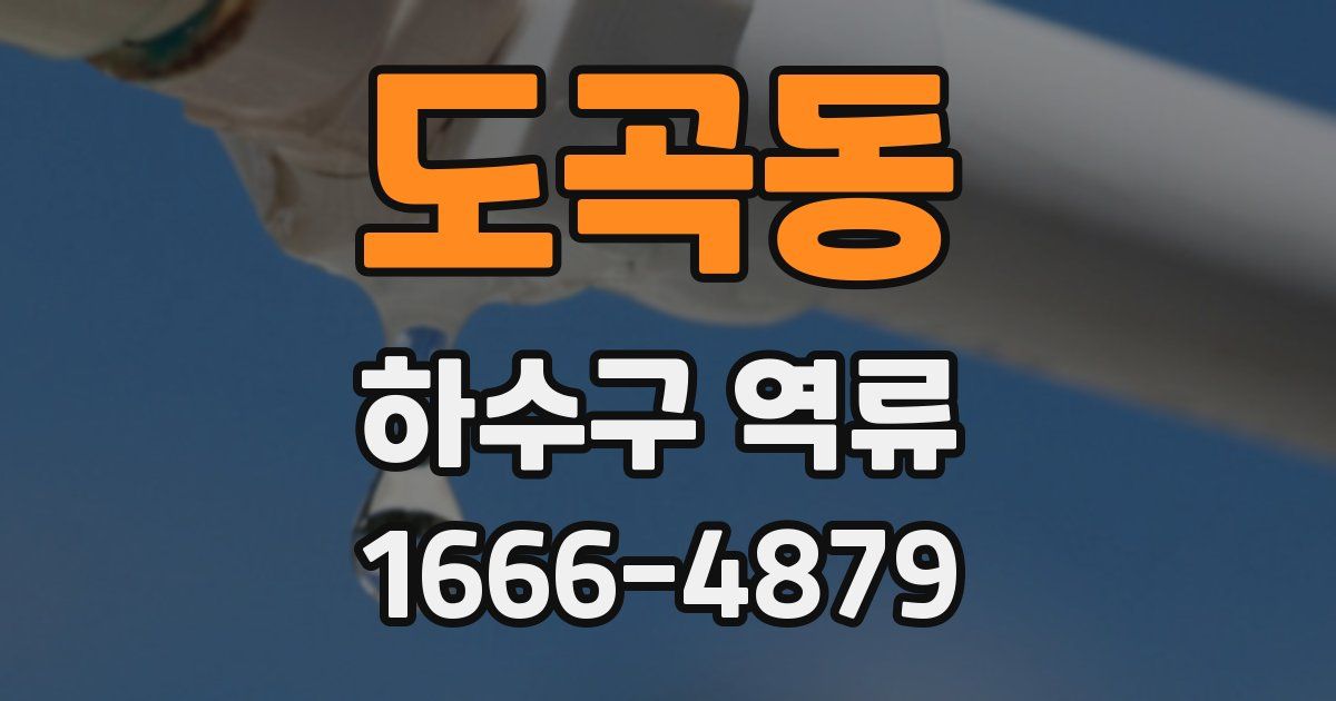 도곡동 하수구 역류