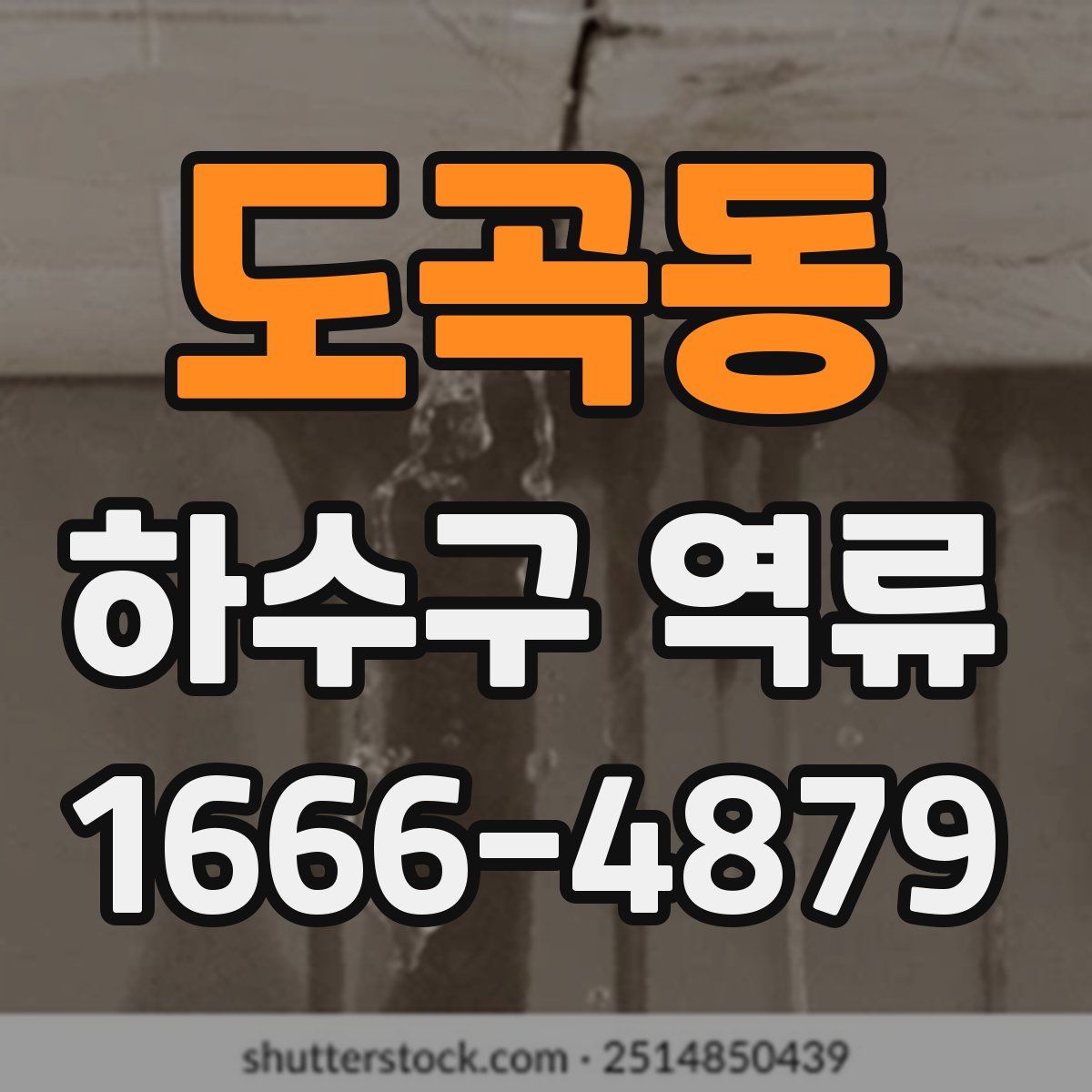 도곡동 하수구 역류