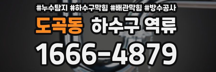 도곡동 하수구 역류