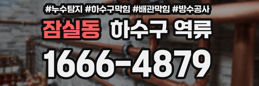 잠실동 하수구 역류