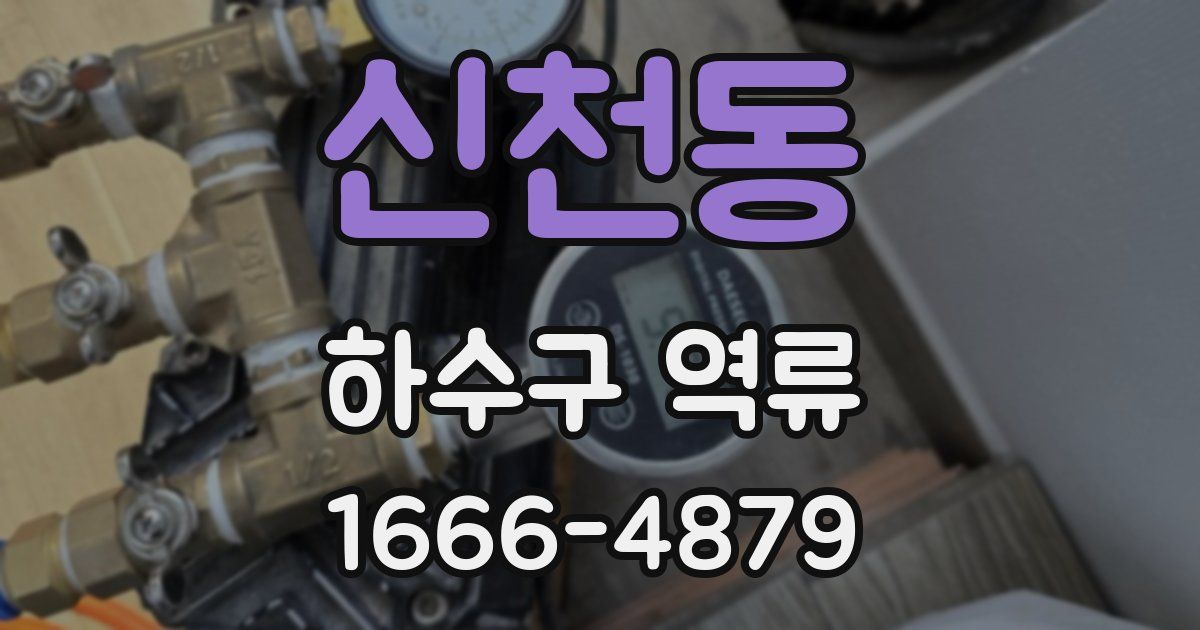 신천동 하수구 역류