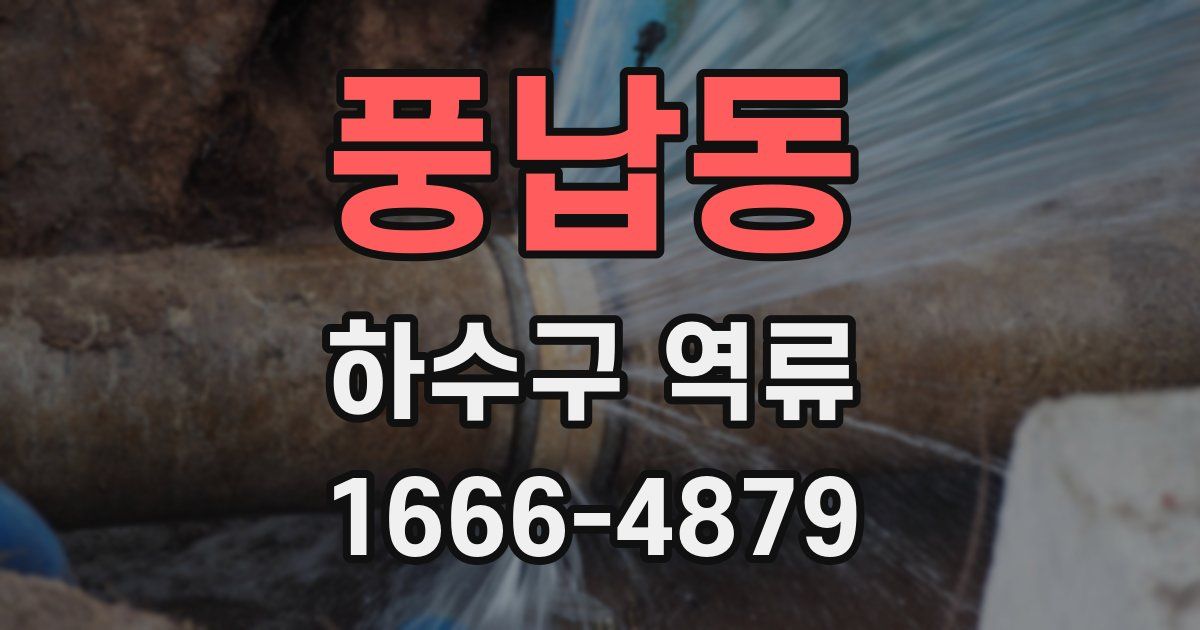 풍납동 하수구 역류