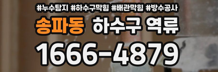 송파동 하수구 역류