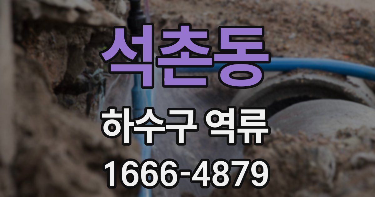 석촌동 하수구 역류