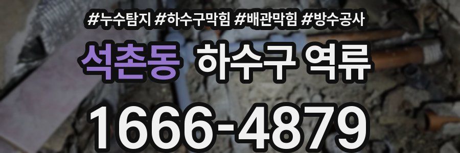 석촌동 하수구 역류