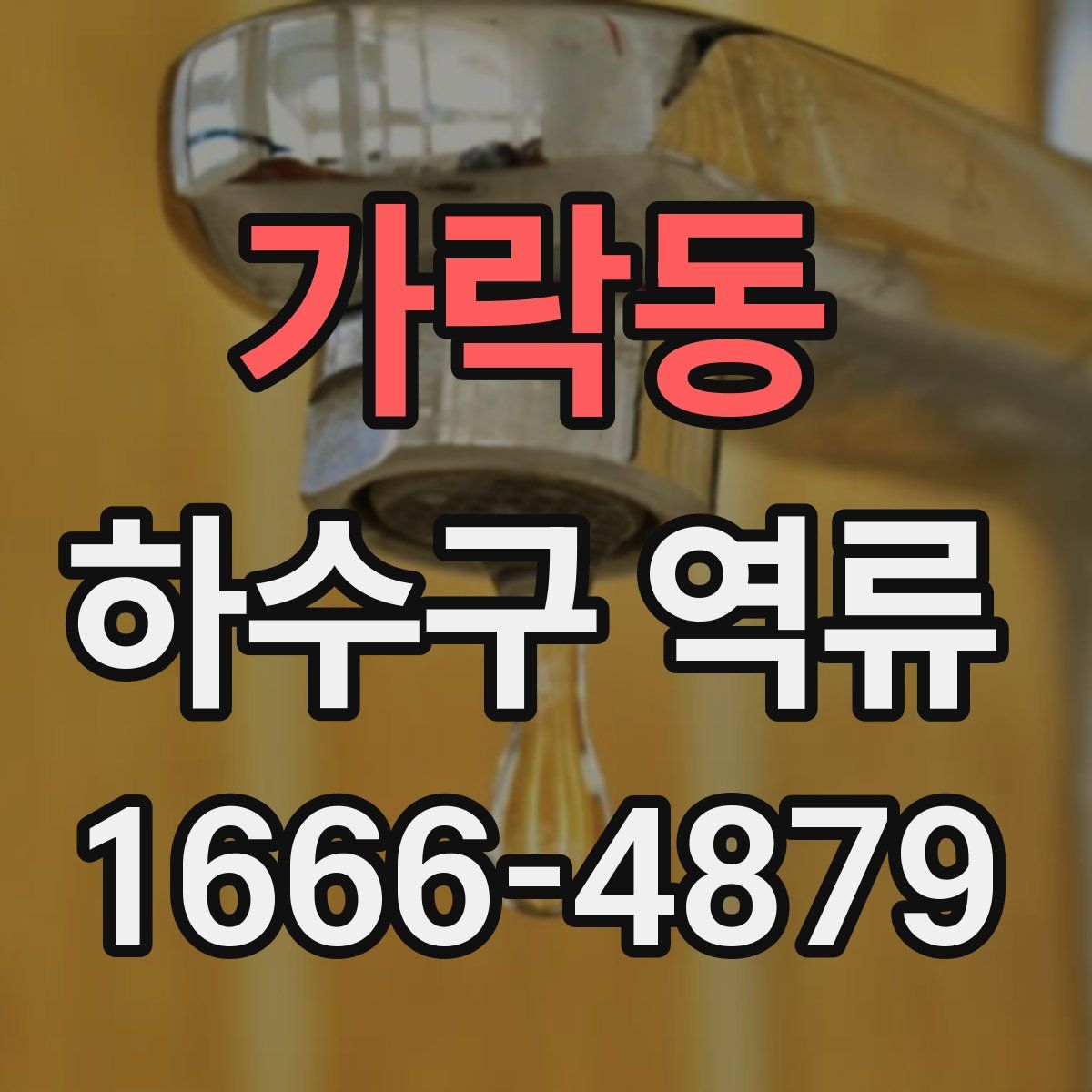 가락동 하수구 역류