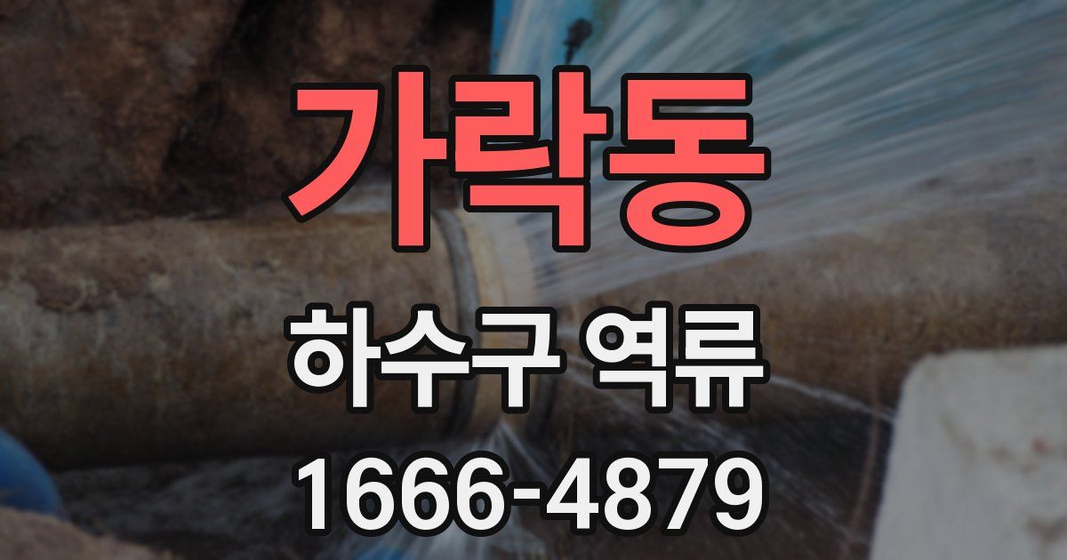 가락동 하수구 역류