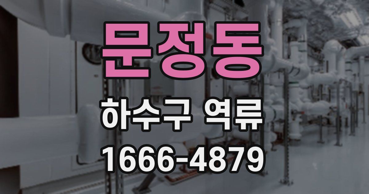 문정동 하수구 역류