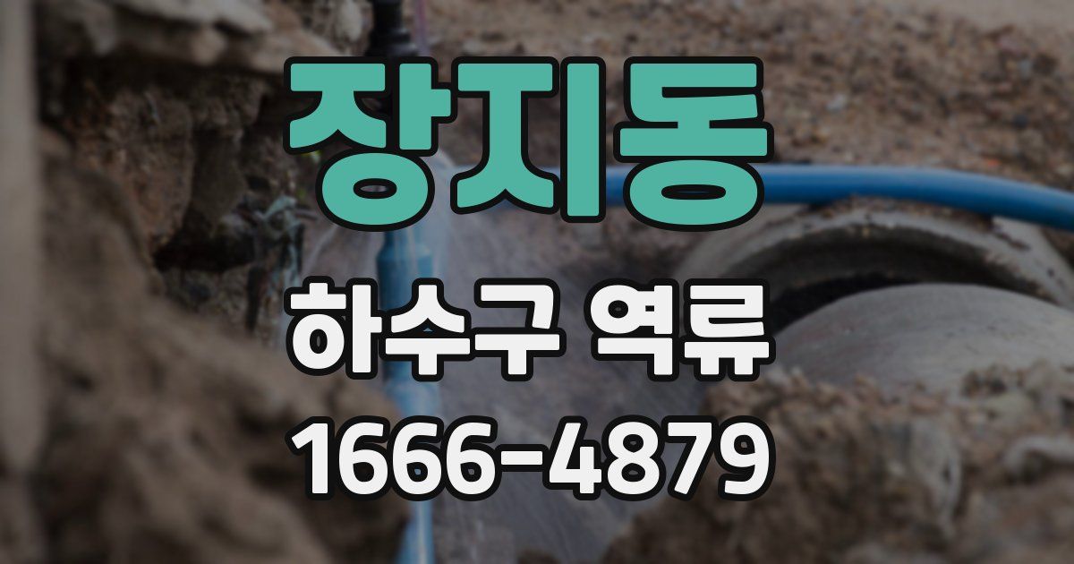 장지동 하수구 역류