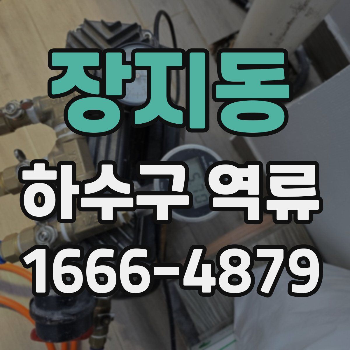 장지동 하수구 역류