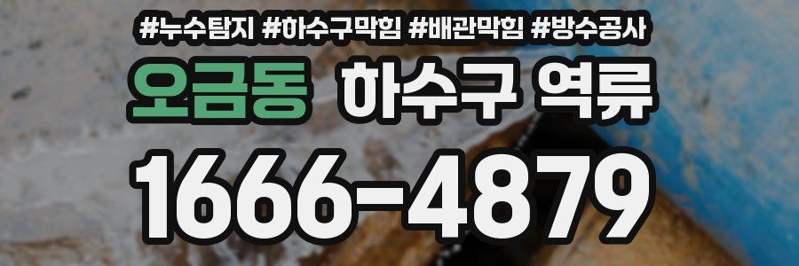 오금동 하수구 역류