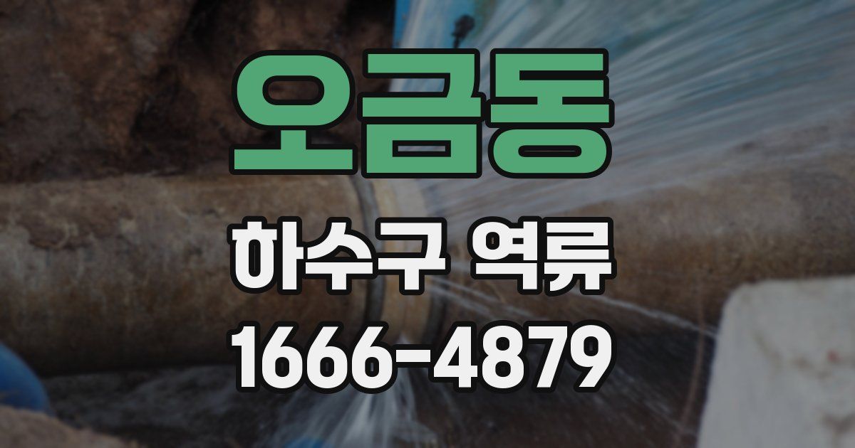 오금동 하수구 역류