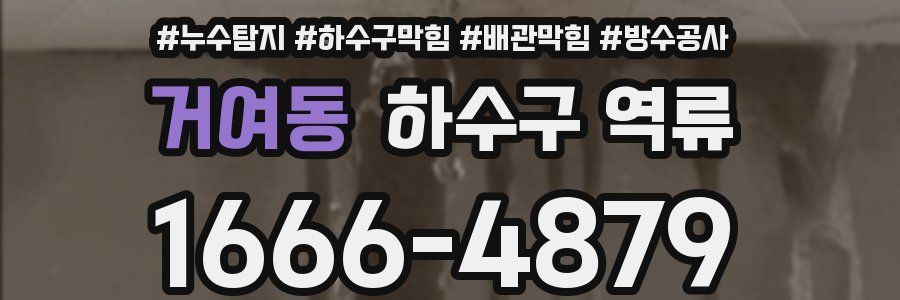 거여동 하수구 역류