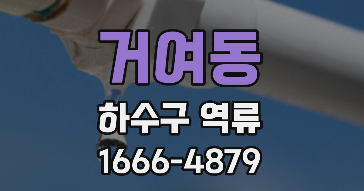거여동 하수구 역류