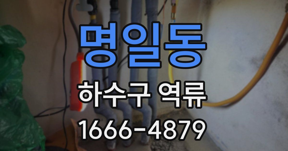 명일동 하수구 역류