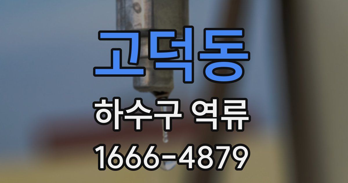 고덕동 하수구 역류