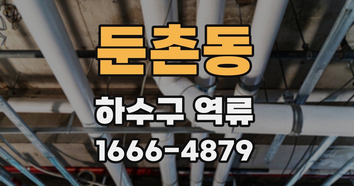 둔촌동 하수구 역류
