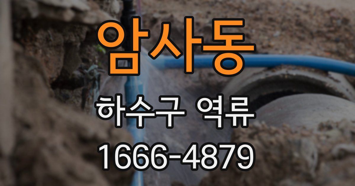 암사동 하수구 역류