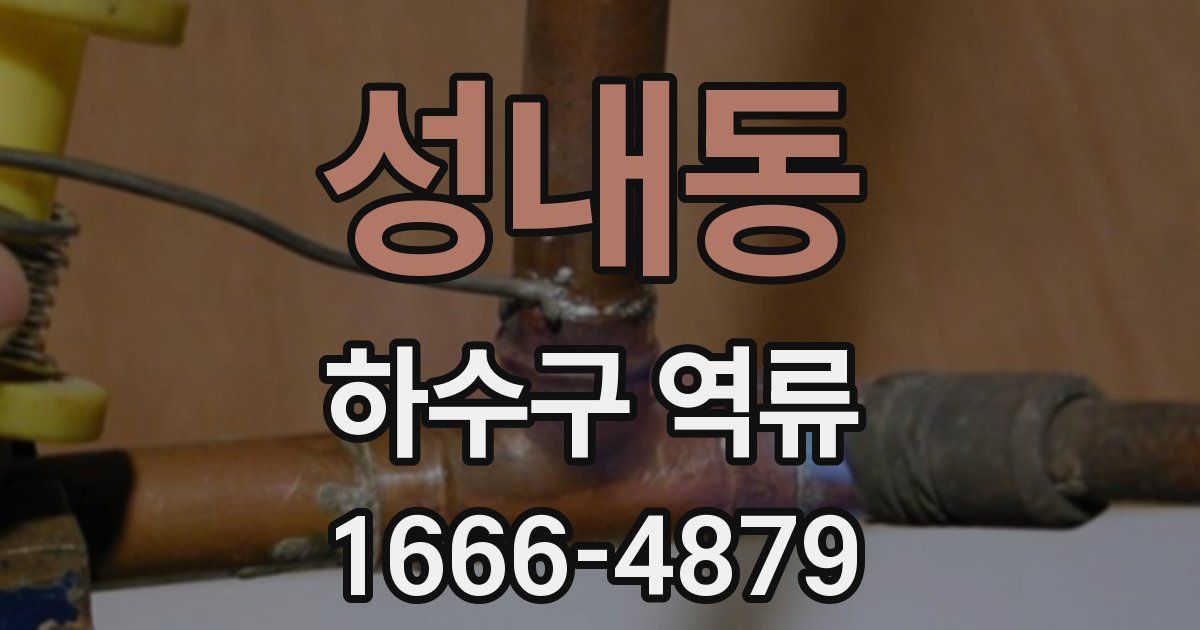 성내동 하수구 역류