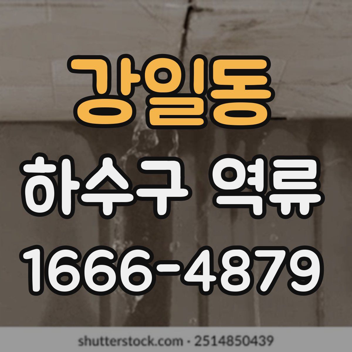 강일동 하수구 역류