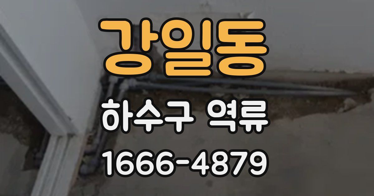 강일동 하수구 역류