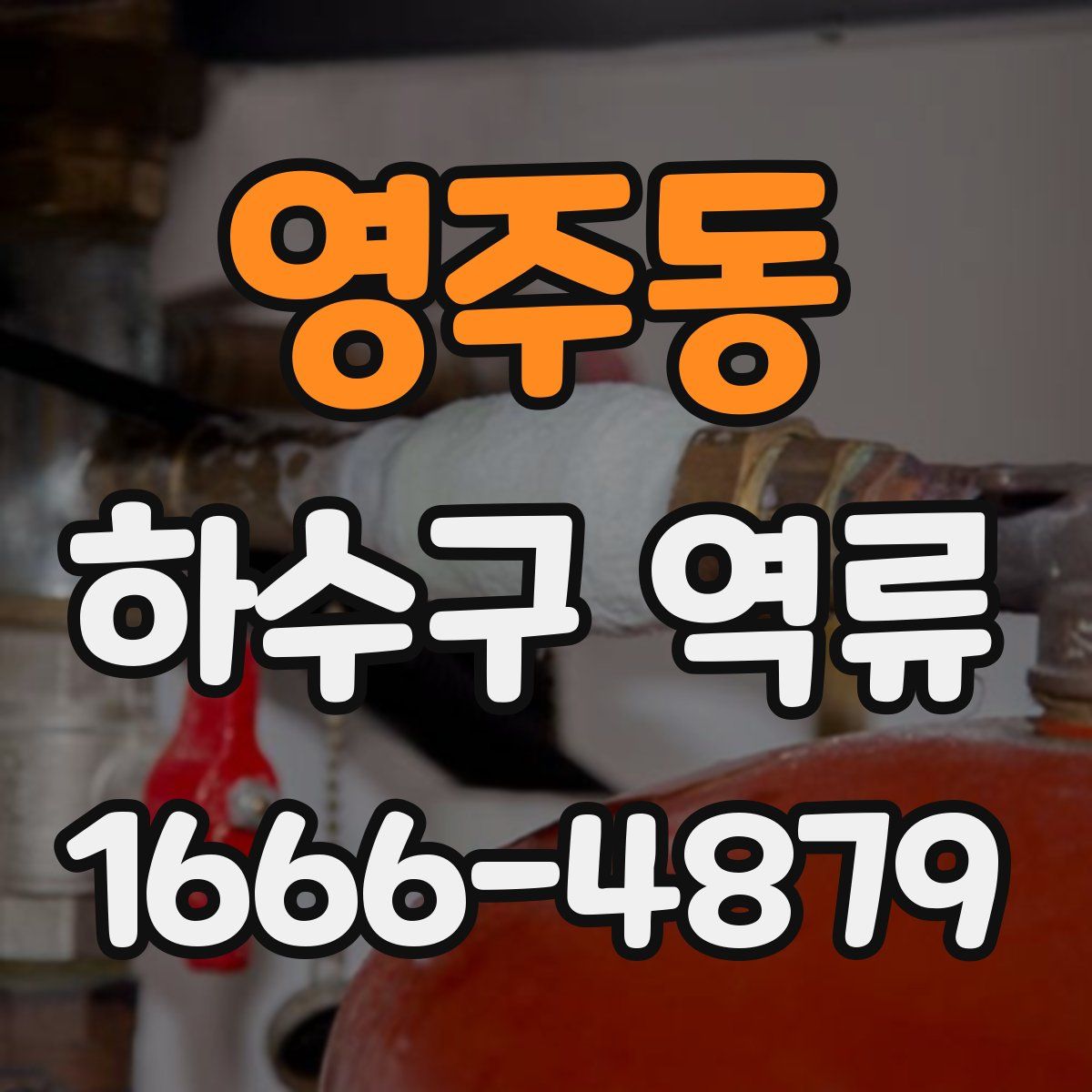 영주동 하수구 역류