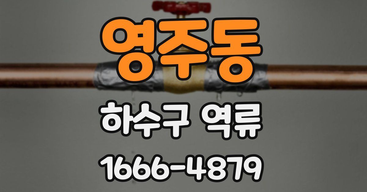 영주동 하수구 역류