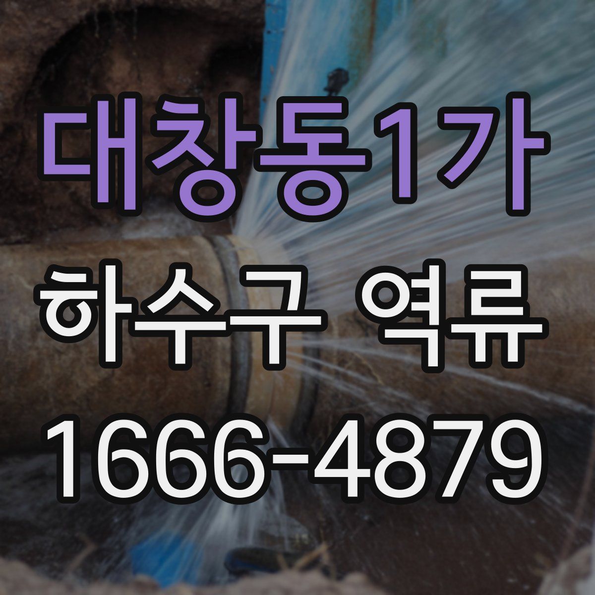 대창동1가 하수구 역류