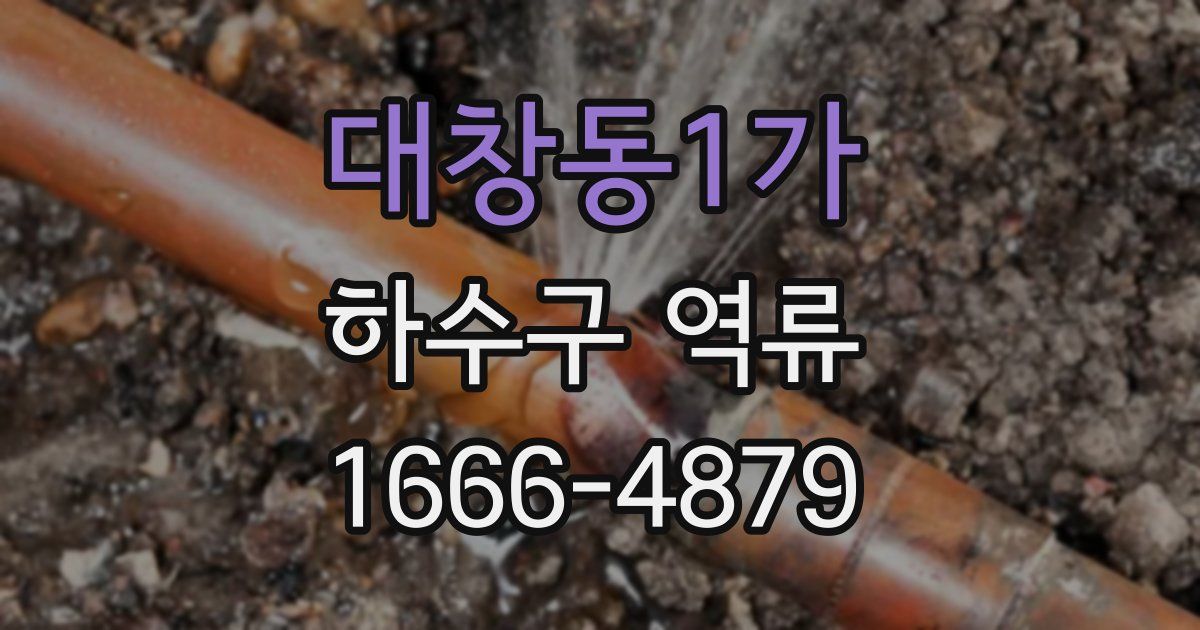 대창동1가 하수구 역류