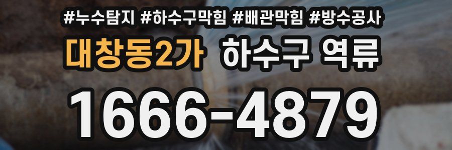 대창동2가 하수구 역류