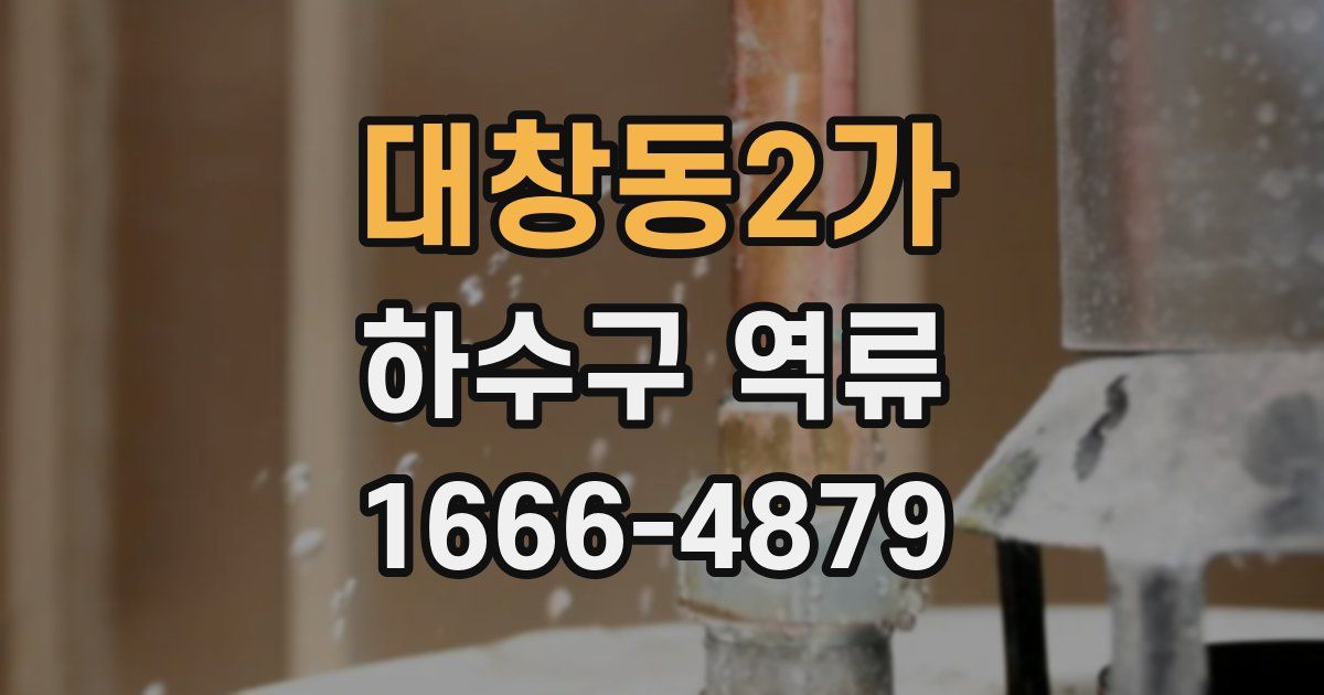 대창동2가 하수구 역류