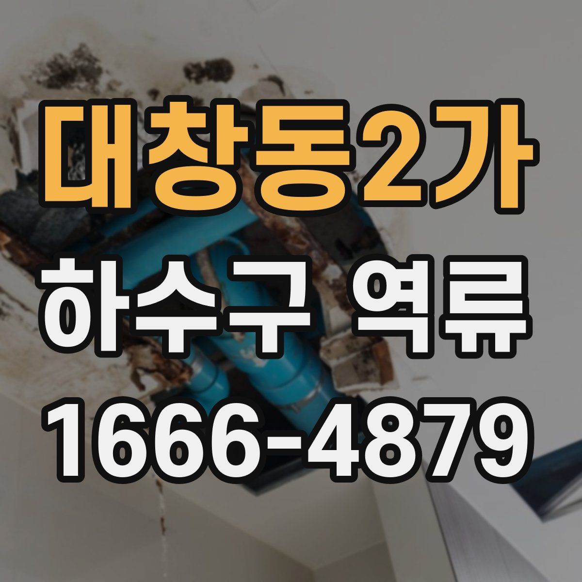 대창동2가 하수구 역류