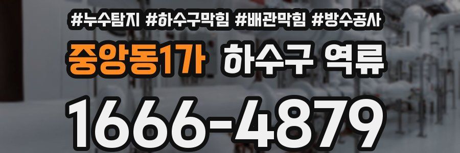 중앙동1가 하수구 역류