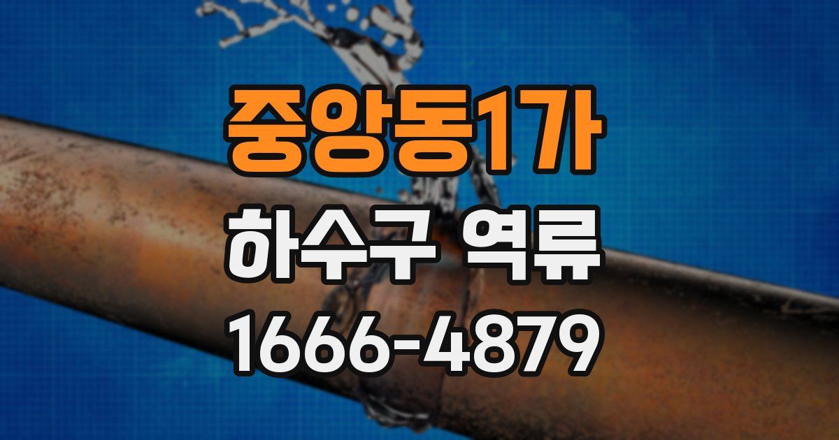 중앙동1가 하수구 역류