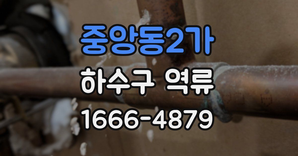 중앙동2가 하수구 역류