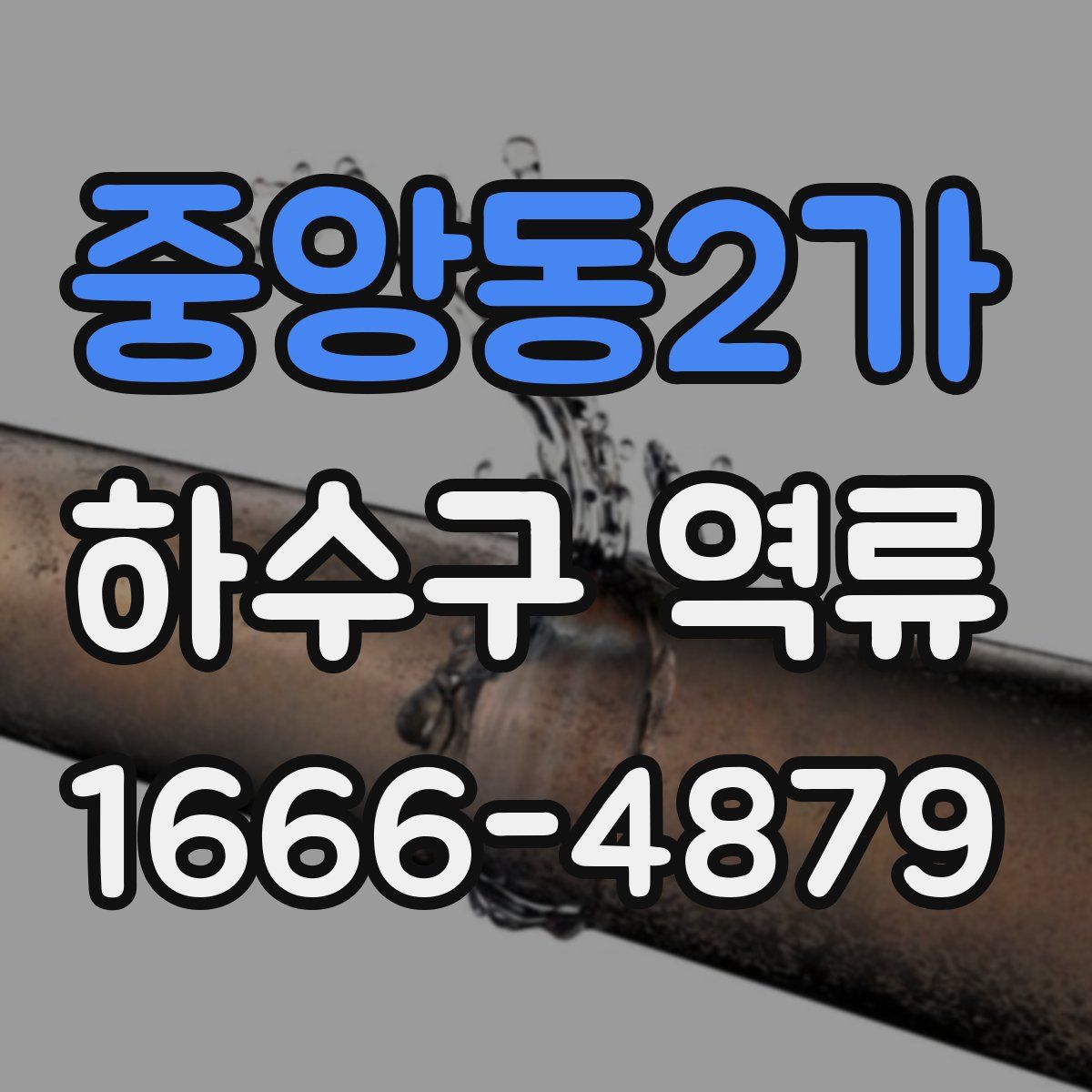 중앙동2가 하수구 역류
