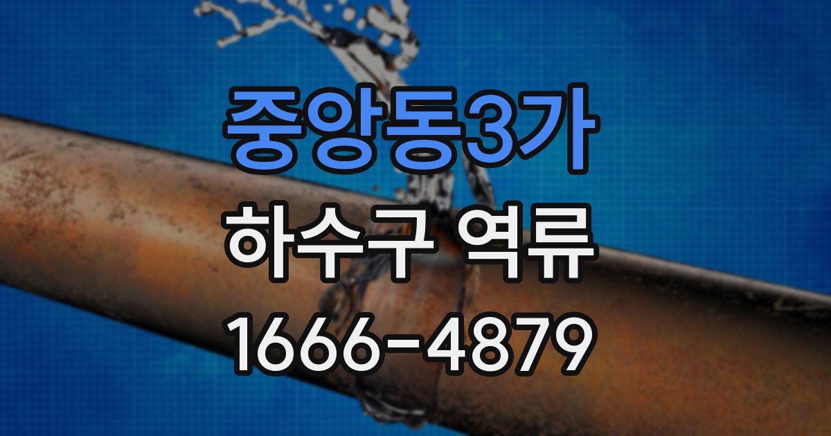 중앙동3가 하수구 역류