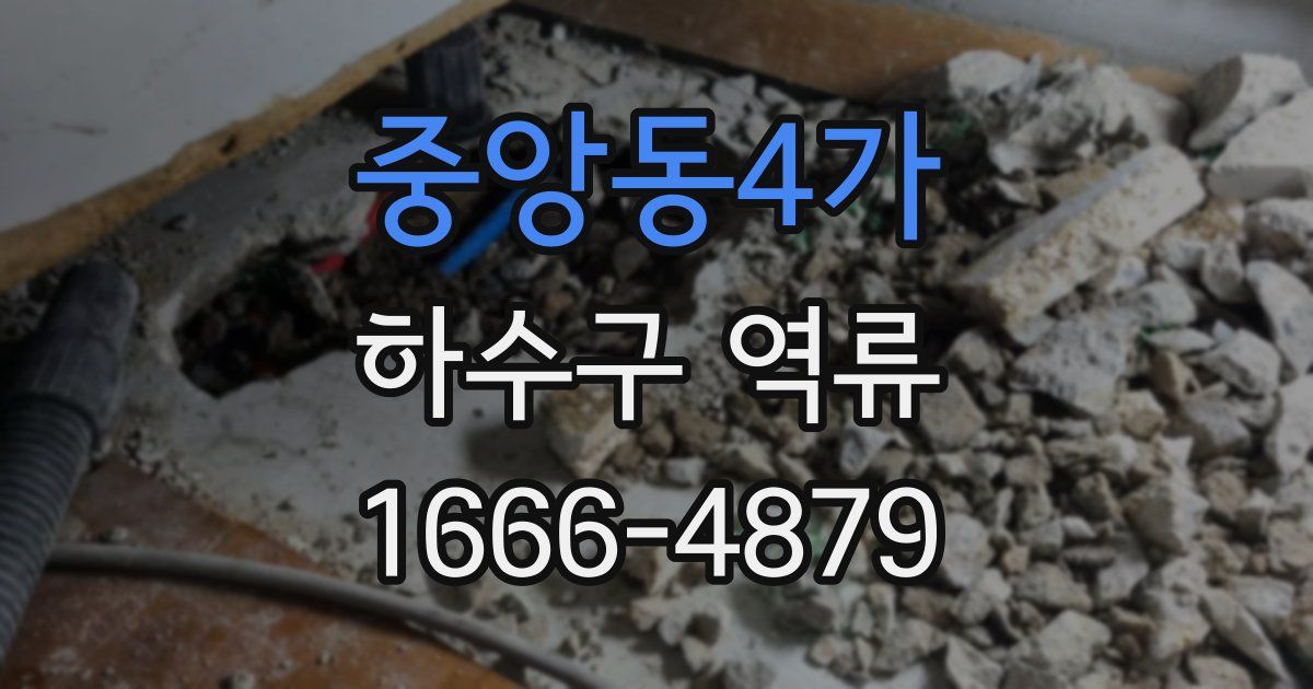 중앙동4가 하수구 역류