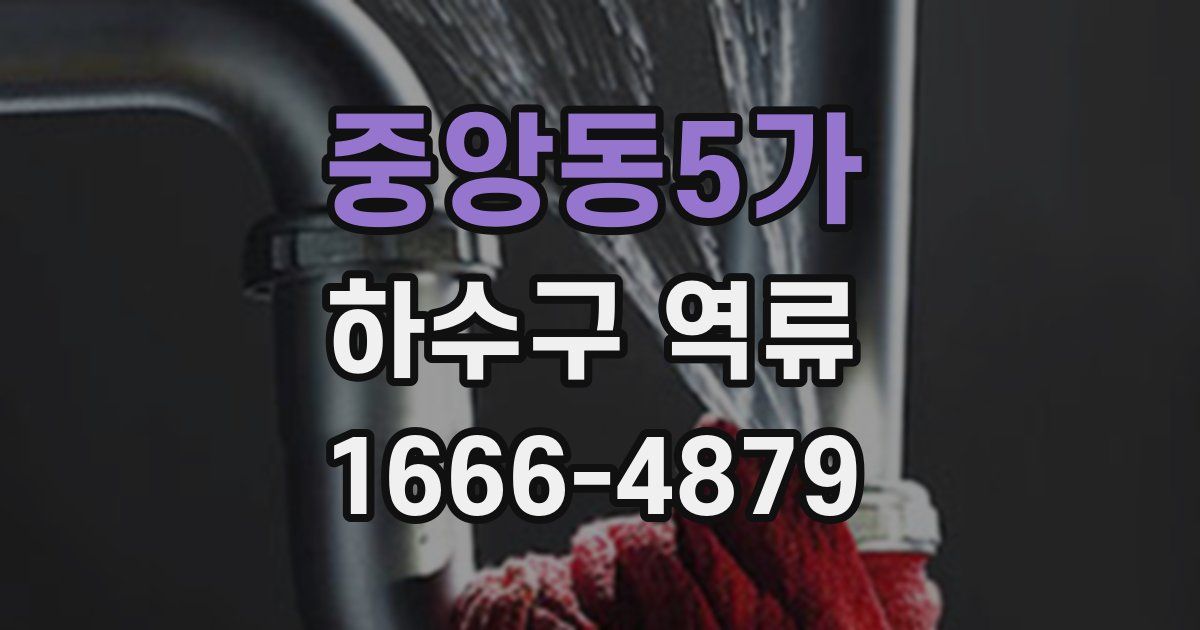 중앙동5가 하수구 역류