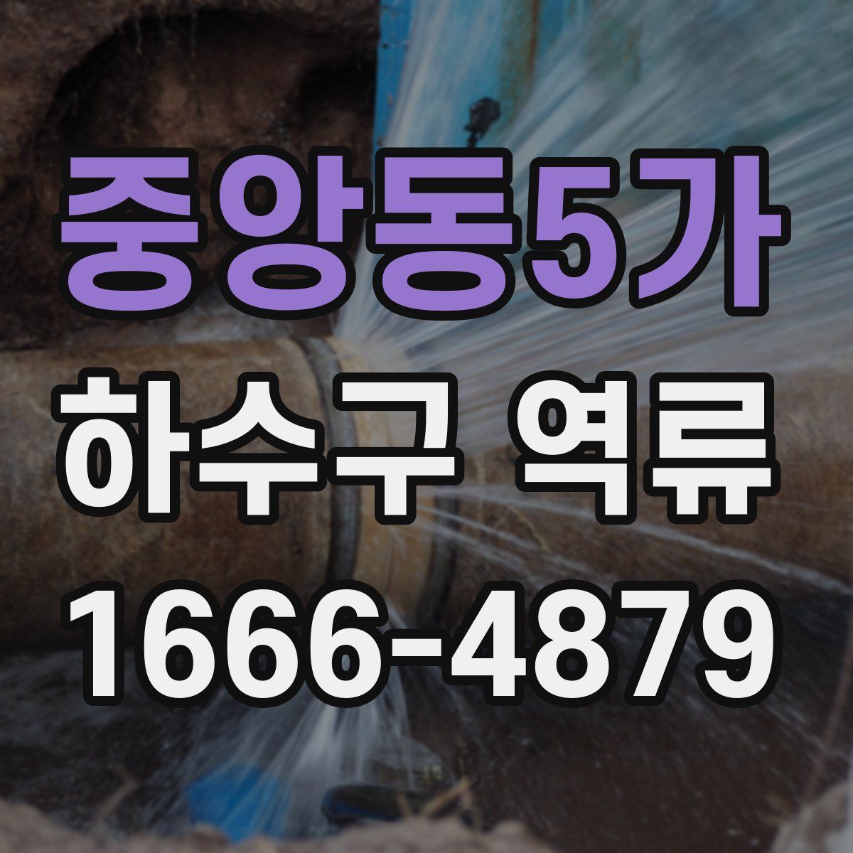 중앙동5가 하수구 역류