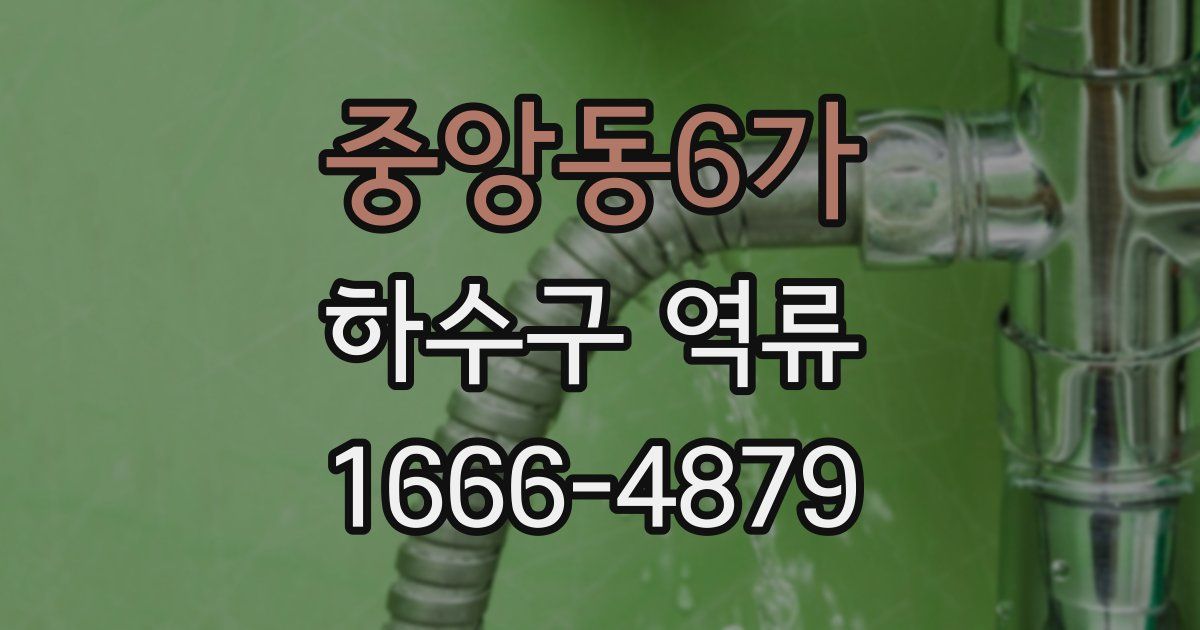 중앙동6가 하수구 역류