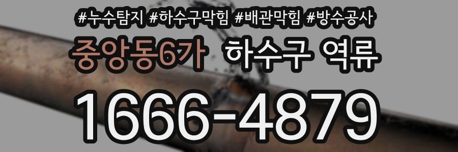 중앙동6가 하수구 역류
