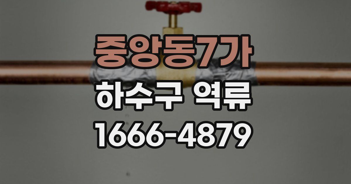 중앙동7가 하수구 역류
