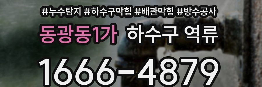 동광동1가 하수구 역류