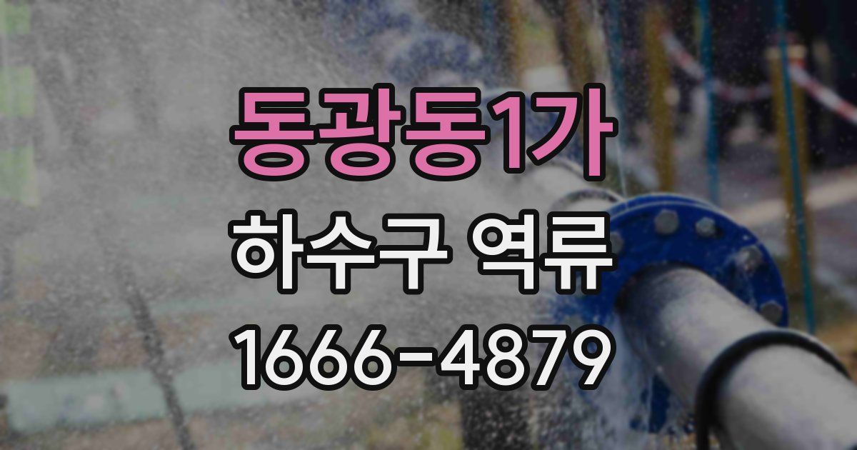 동광동1가 하수구 역류
