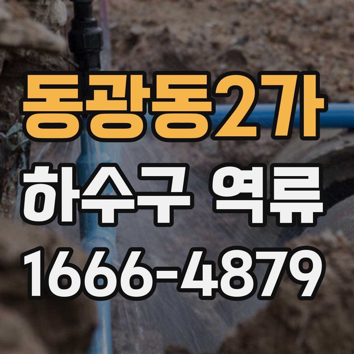 동광동2가 하수구 역류
